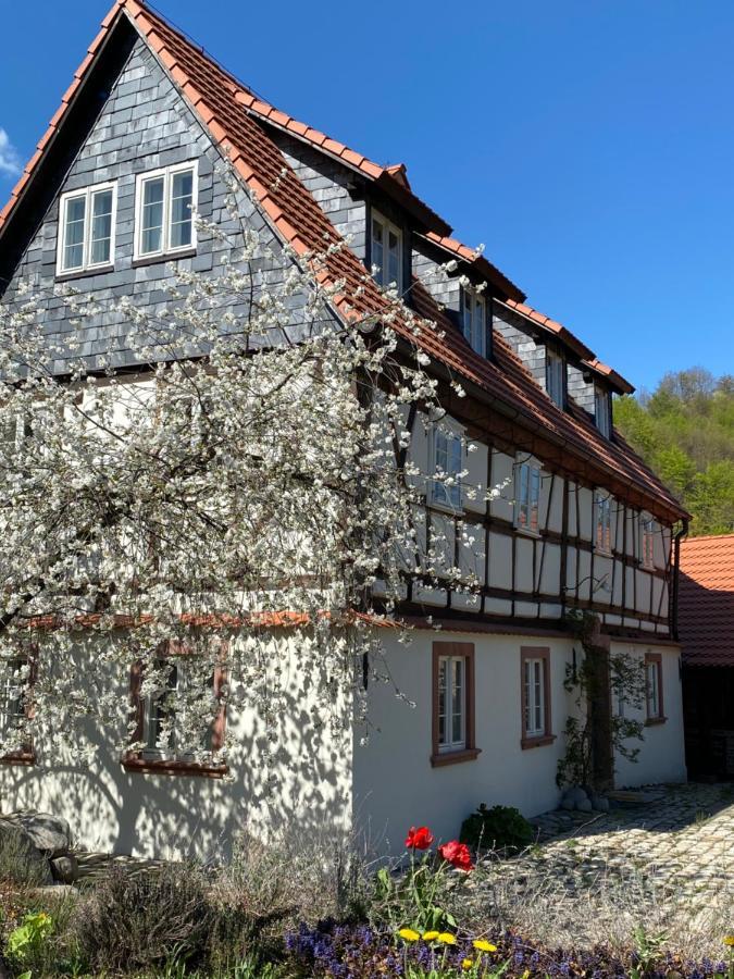 Apartamento Dom Tkacza Pieszyce Exterior foto